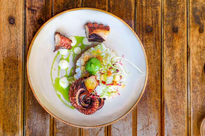 Pan Seared Octopus with Cabbage Salad